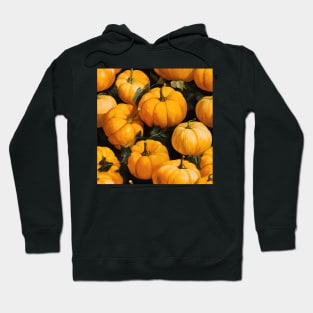 Pumpkin Pattern 16 Hoodie